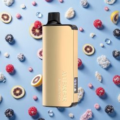 Alibarbar Ingot 9000 Puffs 22ml E-væske Kapasitet 2350mah Batteri Kapasitet Bringebær Is