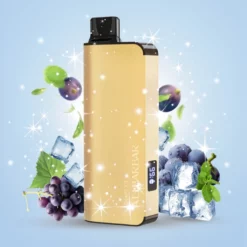 ALIBARBAR INGOT 9000 Puffs GRAPE ICE 22ml 2350mAh