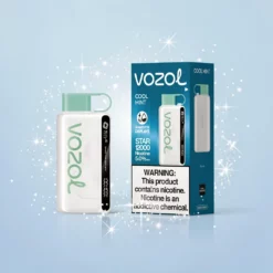 Vozol Star 12K Puffs 30 Flavors Smart Screen Rechargeable
