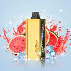 JNR CRUISER 12000 Puffs Watermelon Ice 25ml 3500mAh